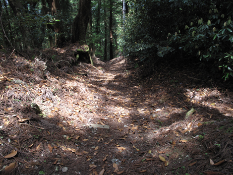 20140524hike (110)